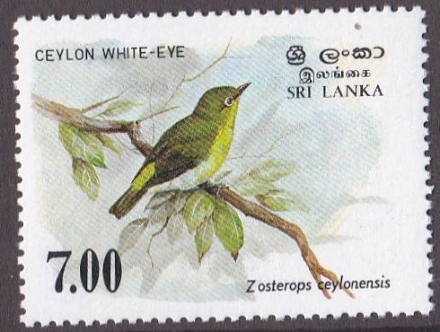 Sri Lanka 877, Birds - Ceylon White-eye, NH, Half Cat.