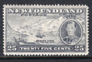 Newfoundland 242 MNH VF