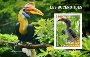 Central Africa - 2019 Hornbill Birds - Stamp Souvenir Sheet - CA191013b