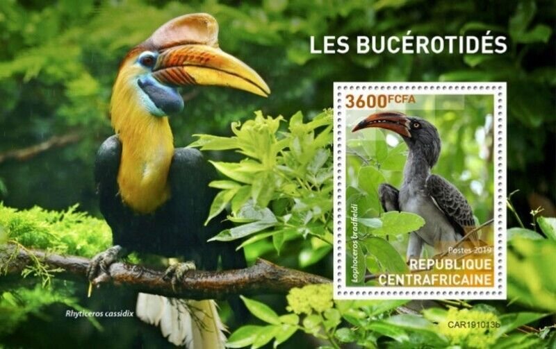 Central Africa - 2019 Hornbill Birds - Stamp Souvenir Sheet - CA191013b