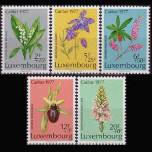 LUXEMBOURG 1977 - Scott# B313-7 Flowers Set of 5 NH