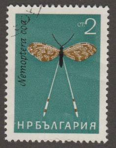 1333 Moth
