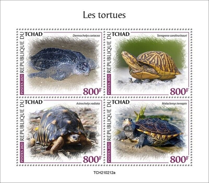 Chad - 2021 Turtles, Tortoise, Terrapin - 4 Stamp Sheet - TCH210212a