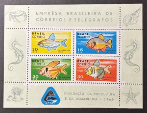 Brazil 1969 #1130 S/S, ACAPI, MNH(note).