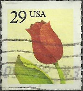 # 2526 USED RED ROSE    