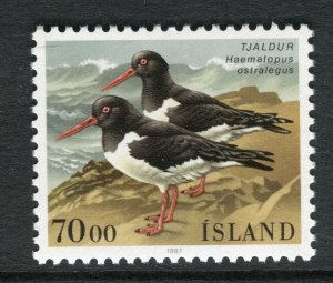 ICELAND; 1990s early Birds issue fine Mint 70k. value
