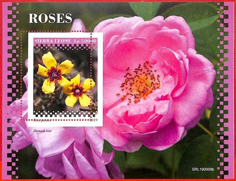 A4531 - SIERRA LEONE - ERROR MISPERF, Souvenir sheet: 2019, Roses, Flowers