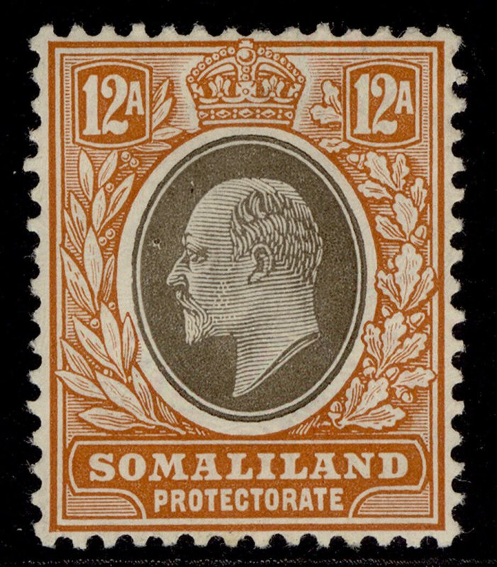 SOMALILAND PROTECTORATE EDVII SG53a, 12a black & orange-brown, LH MINT. Cat £17.