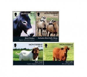 Montserrat - 2011 Various Animals Donkey, Sheep, Goat, Cattle - Set of 4 - MNH