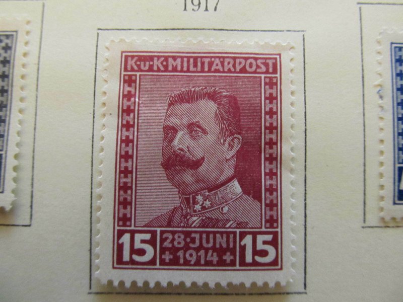 Bosnia & Herzegovina 1917 15h fine MH* semi-postal stamp A13P18F57