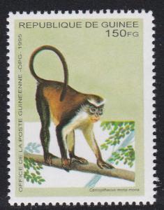 Guinea # 1280, Monkey, NH