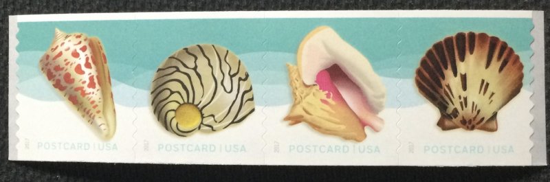 US MNH #5167-5170 (5170a) Coil Strip of 4 Shells SCV $2.80