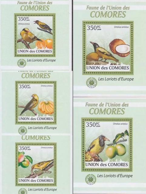 Comoro Islands 2009 - 5 S/S Animals Singing Birds Oriolus Fruit Fauna Stamps MNH