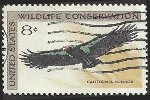 # 1430 USED CALIFORNIA CONDOR