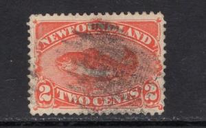 Newfoundland Scott 48 used. Scott CV$ 9.50