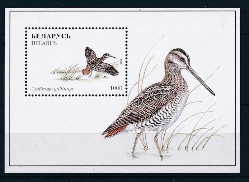 [27246] Belarus 1996 Birds Vögel Oiseaux Ucelli  MNH Sheet