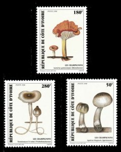 Ivory Coast 1998 - Mushrooms, Fungus - Set of 3v - Scott 1019-21 - MNH
