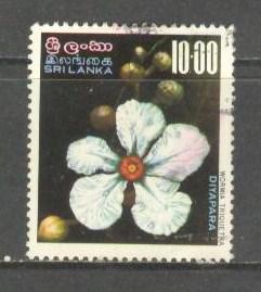 SRI LANKA Sc# 498 USED FVF Wormia Triquetra Flowers