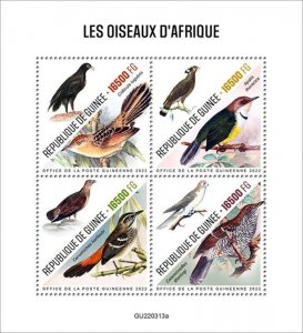 Guinea - 2022 African Birds, Robin, Wren-warbler - 4 Stamp Sheet - GU220313a