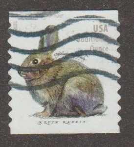 USA 5545 Rabbit