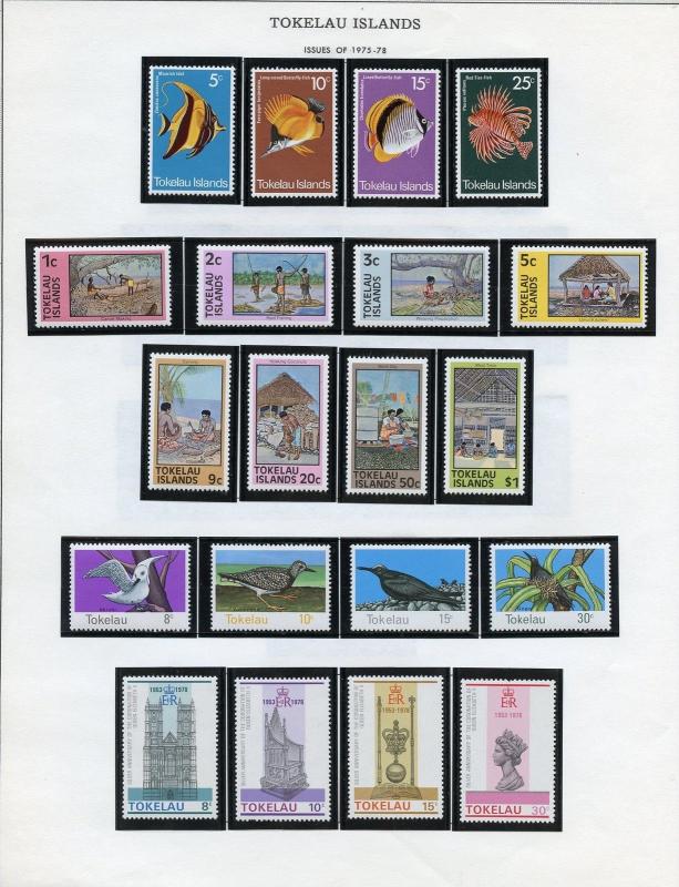 TOKELAU SELECTION OF MINT NEVER HINGED ON ALBUM PAGES AS SHOWN