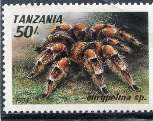 Tanzania 1994 AFRICAN SPIDER 1 value Perforated Mint (NH)