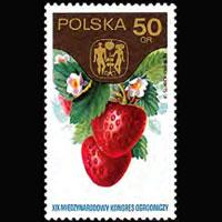 POLAND 1974 - Scott# 2049 Strawberries 50g NH