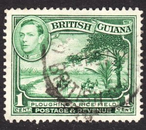 British Guiana Scott 230 VF used.  FREE...