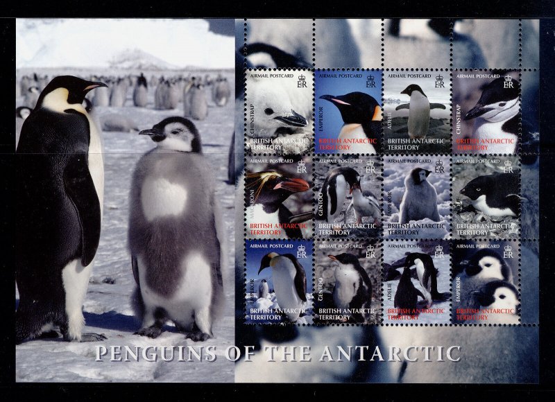 BRITISH ANTARCTIC TERRITORY QEII SG424a, penguins sheetlet x 12 NH MINT. Cat £24 