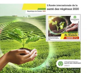 Guinea - 2020 Intl Year of Plant Health - Stamp Souvenir Sheet - GU200241b