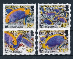 [53861] Ascension 2007 Marine life fish angelfish WWF  MNH