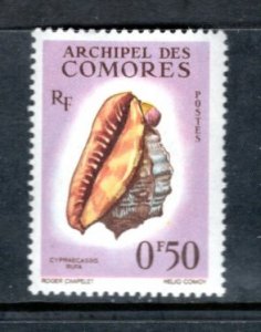 COMOROS ISLANDS 48 MNH VF Sea Shell