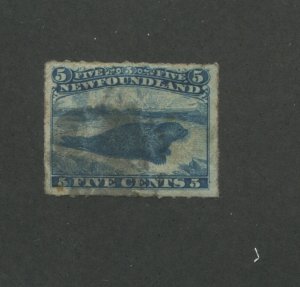1877 Newfoundland Harp Seal 5 Cents Postage Stamp #40