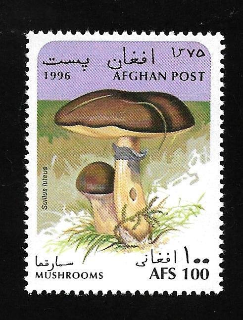 Afghanistan 1996 - MNH - Unlisted - Pic 1 *