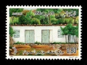 Algeria #698 MLH