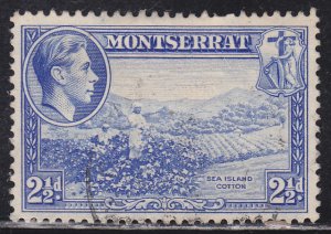 Montserrat 96 Sea Island Cotton  1942