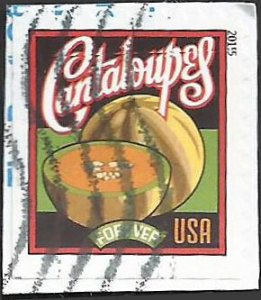 # 5006 Used Summer Harvest Cantaloupe