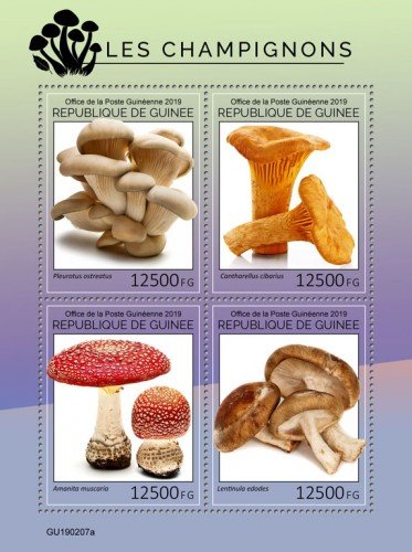 GUINEA - 2019 - Mushrooms - Perf 4v Sheet - M N H