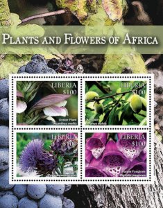 Liberia - 2015 - PLANTS AND FLOWERS OF AFRICA - Sheet of of 4 Stamps - MNH