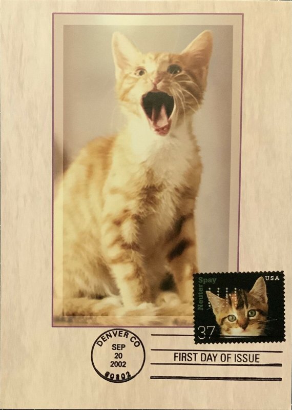 HNLP Hideaki Nakano 3670 Spay & Neuter Cat Greeting Card Birthday Cake 