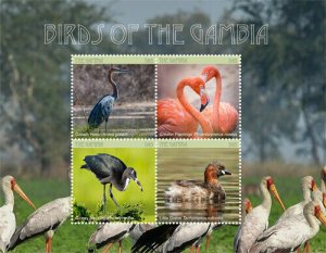 Gambia 2018 - Birds of The Gambia, Flamingo, Heron, Ibis - Sheet of 4v - MNH