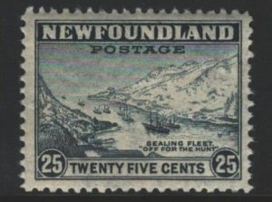 Newfoundland Sc#265 MNH