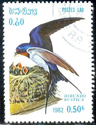 Bird, Barn Swallow, Laos stamp SC#373 used