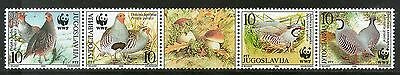 Yugoslavia 2000 WWF Birds Rock Pigeon Fauna Sc 2479 Strip 4 + Label MNH # 7068A