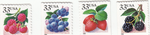 #3297, Berries Set of 4, Please see the desscription