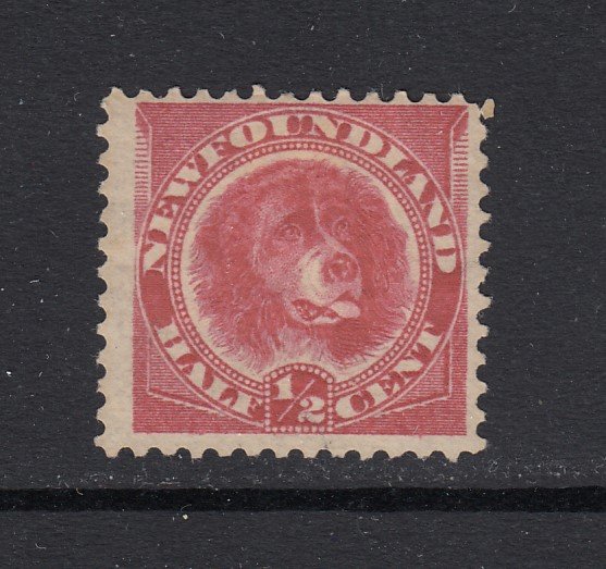 Newfoundland, Sc 56 (SG 49), MHR