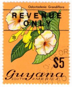 (I.B) British Guiana (Guyana) Revenue : Duty Stamp $5 (1975)