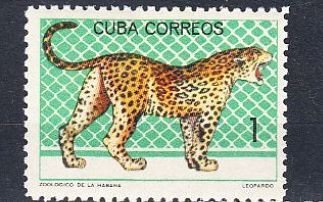 Cuba    Sc# 888  NATIONAL ZOO ANIMALS  Leopard   1c    1964  MNH