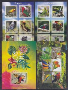 11pcs Nature Animals Birds PARROTS Paradise Imperf Nice set (private issue) FG4