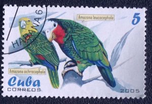 CUBA Sc# 4466  PARROTS tropical birds 5c  2005  used / cto